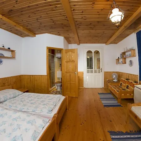 Hauszmann Vendeghaz Palotabozsok